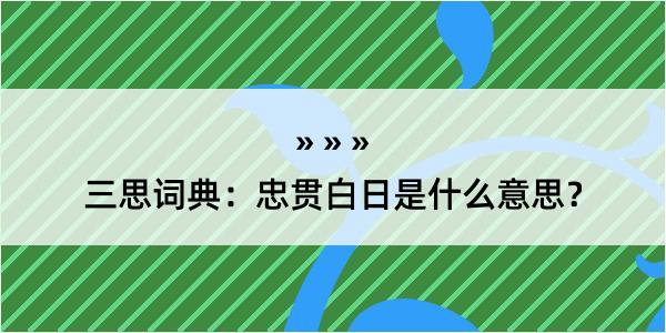 三思词典：忠贯白日是什么意思？