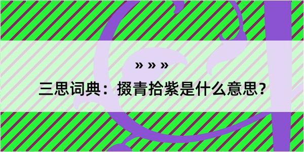 三思词典：掇青拾紫是什么意思？