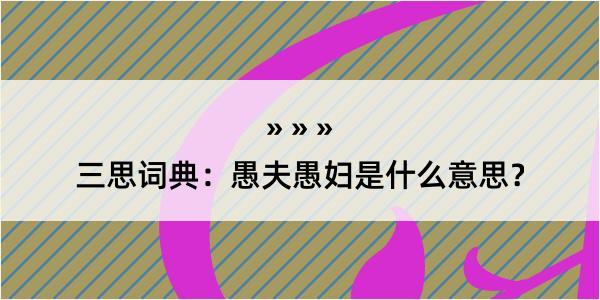 三思词典：愚夫愚妇是什么意思？