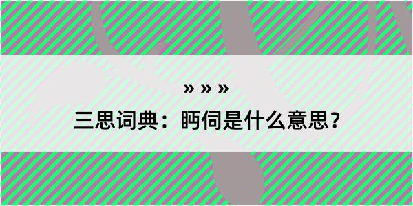 三思词典：眄伺是什么意思？