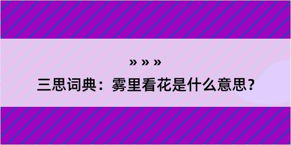 三思词典：雾里看花是什么意思？