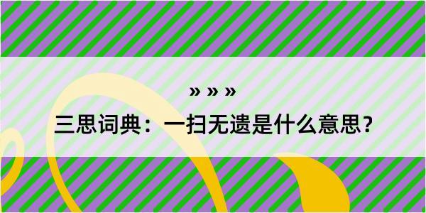 三思词典：一扫无遗是什么意思？