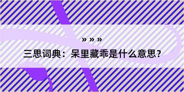 三思词典：呆里藏乖是什么意思？