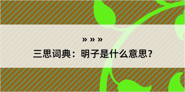 三思词典：明子是什么意思？