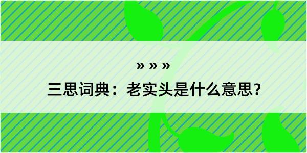 三思词典：老实头是什么意思？