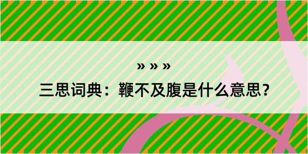 三思词典：鞭不及腹是什么意思？