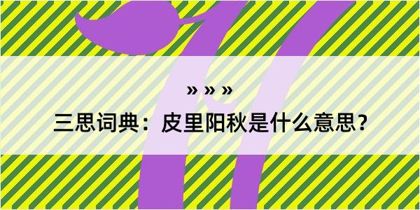 三思词典：皮里阳秋是什么意思？