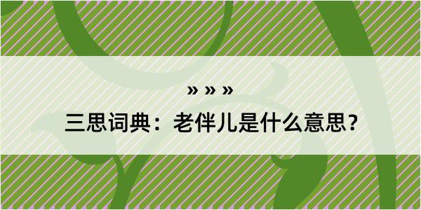 三思词典：老伴儿是什么意思？