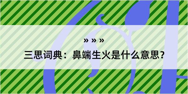 三思词典：鼻端生火是什么意思？