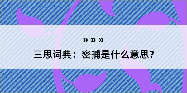 三思词典：密捕是什么意思？