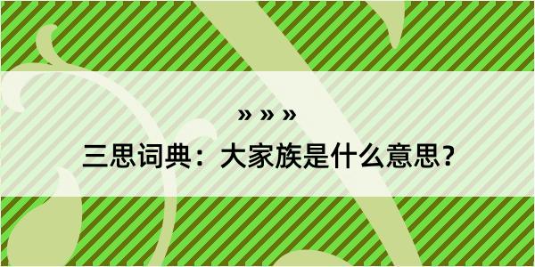 三思词典：大家族是什么意思？