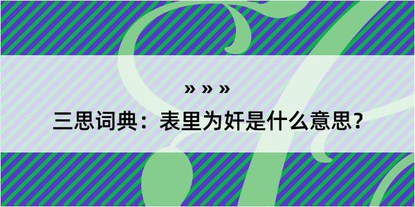 三思词典：表里为奸是什么意思？