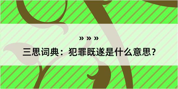 三思词典：犯罪既遂是什么意思？