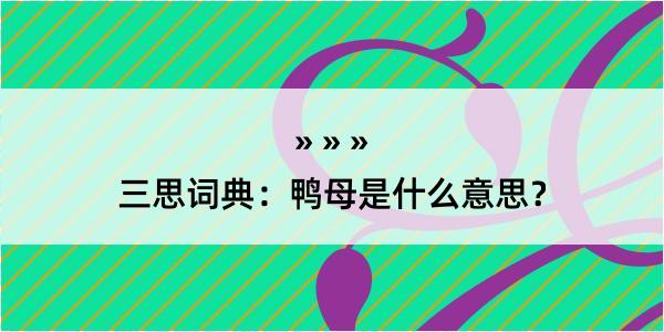 三思词典：鸭母是什么意思？