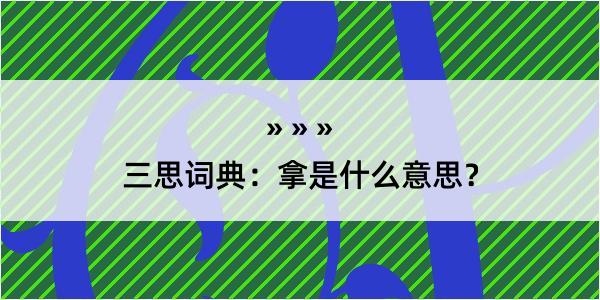 三思词典：拿是什么意思？