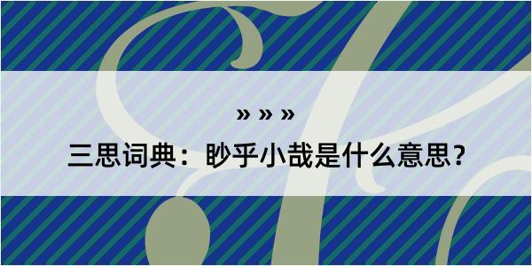 三思词典：眇乎小哉是什么意思？