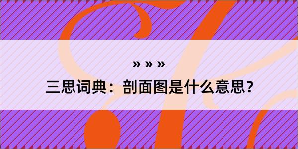 三思词典：剖面图是什么意思？