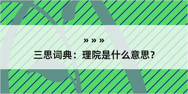 三思词典：理院是什么意思？