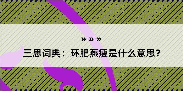 三思词典：环肥燕瘦是什么意思？