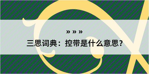 三思词典：控带是什么意思？