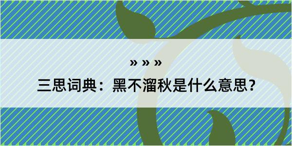 三思词典：黑不溜秋是什么意思？