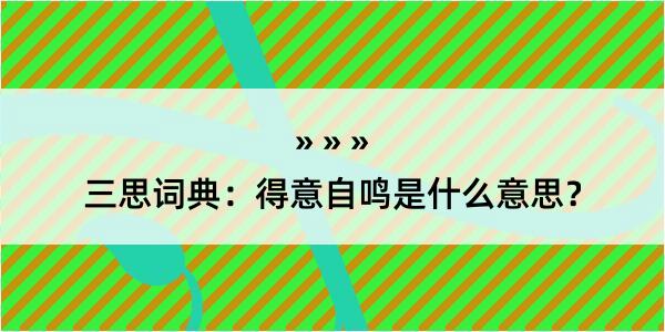 三思词典：得意自鸣是什么意思？