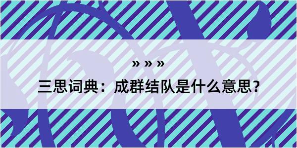 三思词典：成群结队是什么意思？