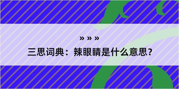 三思词典：辣眼睛是什么意思？