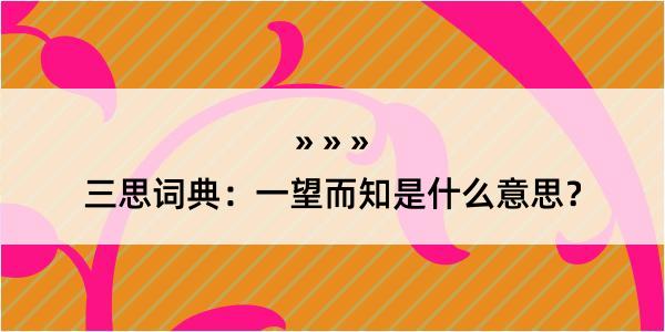 三思词典：一望而知是什么意思？