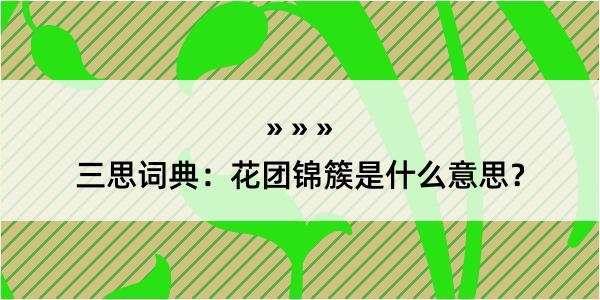 三思词典：花团锦簇是什么意思？