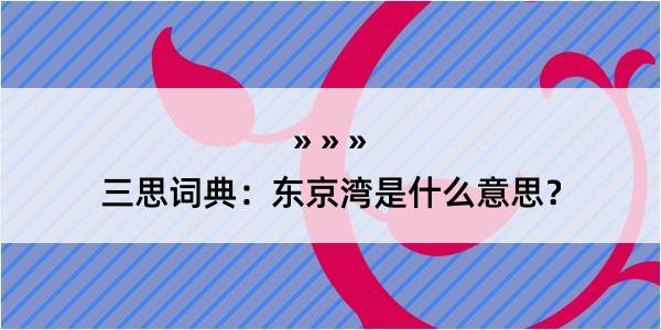 三思词典：东京湾是什么意思？