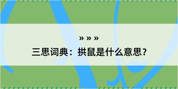 三思词典：拱鼠是什么意思？