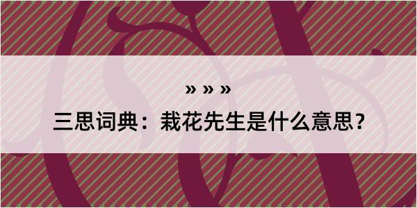 三思词典：栽花先生是什么意思？