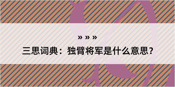 三思词典：独臂将军是什么意思？