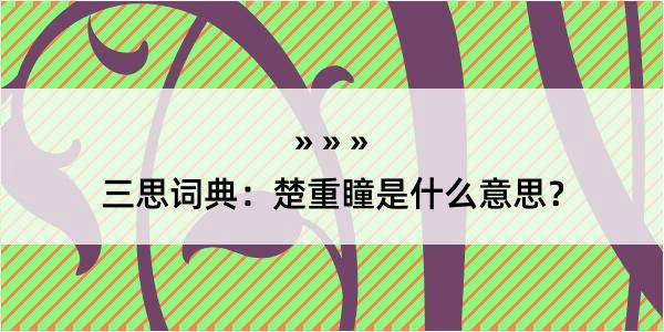 三思词典：楚重瞳是什么意思？