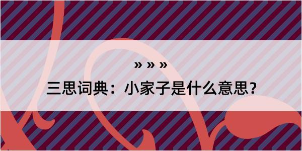 三思词典：小家子是什么意思？