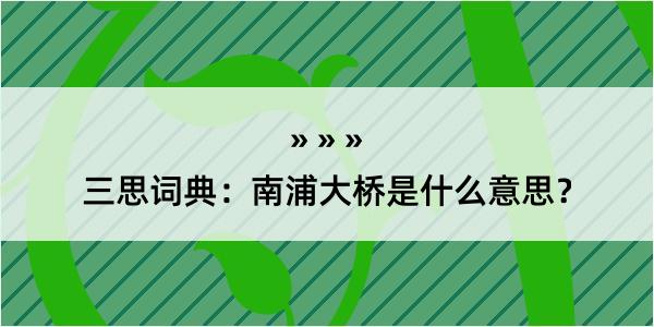 三思词典：南浦大桥是什么意思？