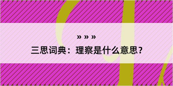 三思词典：理察是什么意思？