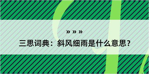 三思词典：斜风细雨是什么意思？