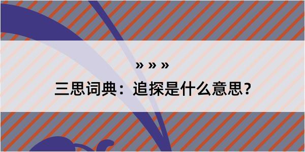 三思词典：追探是什么意思？