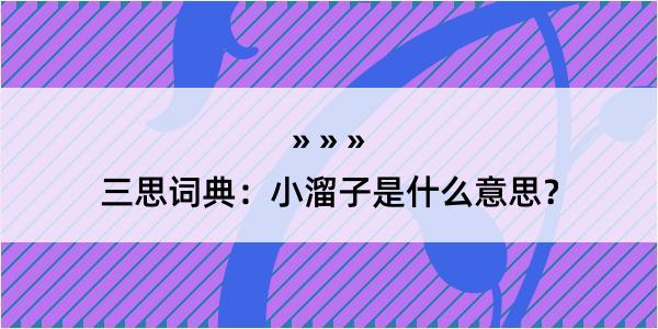 三思词典：小溜子是什么意思？