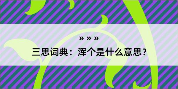 三思词典：浑个是什么意思？