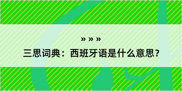 三思词典：西班牙语是什么意思？