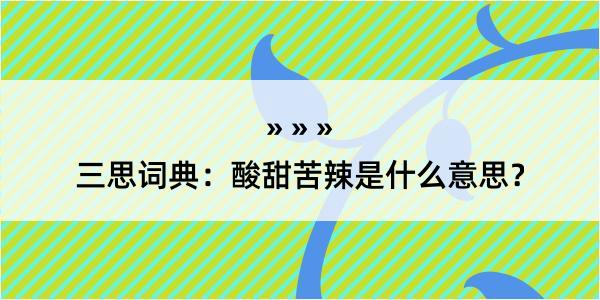 三思词典：酸甜苦辣是什么意思？