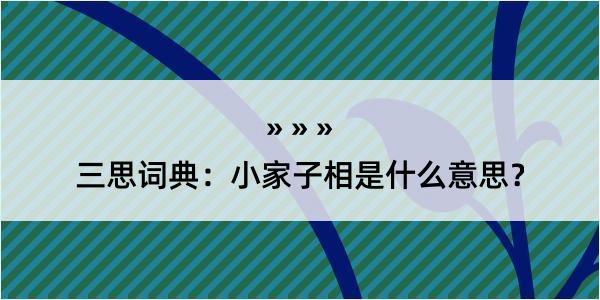 三思词典：小家子相是什么意思？