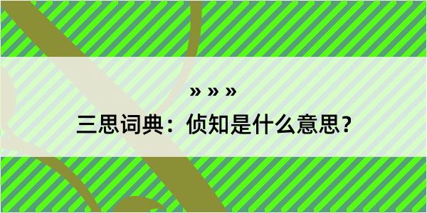 三思词典：侦知是什么意思？