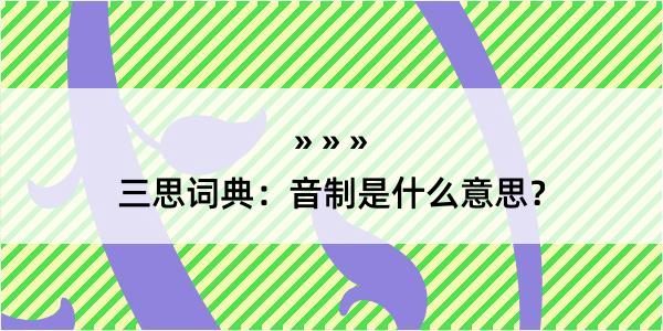 三思词典：音制是什么意思？