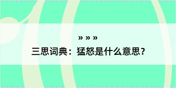 三思词典：猛怒是什么意思？