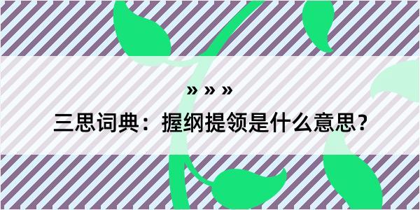 三思词典：握纲提领是什么意思？