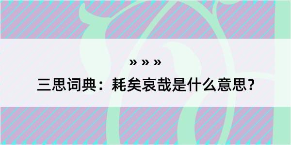 三思词典：耗矣哀哉是什么意思？